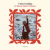 Curtis Harding - If Words Were Flowers